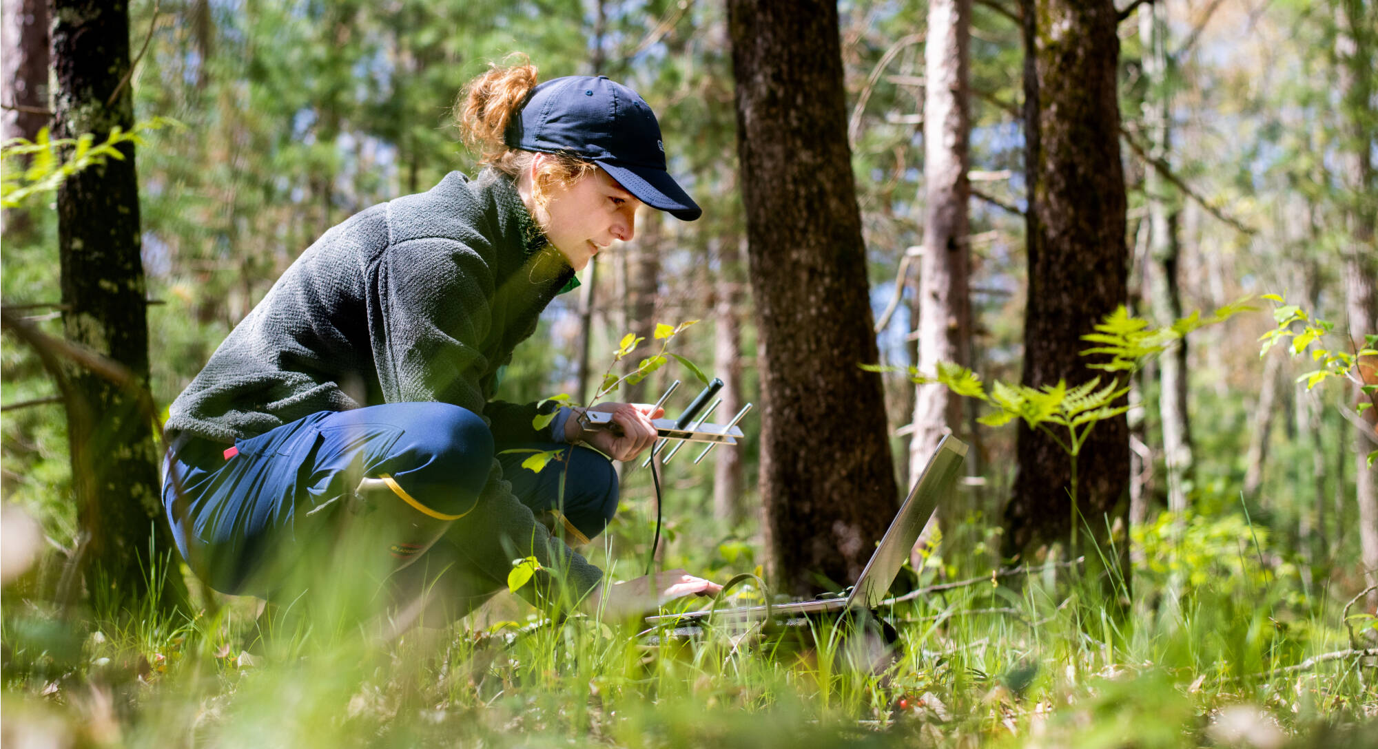 Graduate biology student Annah Huberts imports data in the field while doing research on wood turtles and raccoons.